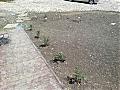 Имоти Варна