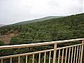Properties in Bulgaria