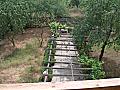 Имоти Варна