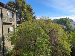 Properties in Bulgaria