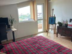 Properties in Bulgaria