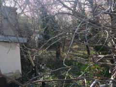 Properties in Bulgaria
