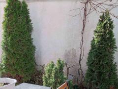 Properties in Bulgaria