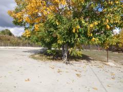 Properties in Bulgaria: Warehouse for rent in Western industrial zone, parking space, TIR access Properties in Bulgaria