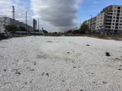 Properties in Bulgaria