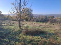 Имоти Варна