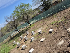 Имоти Варна