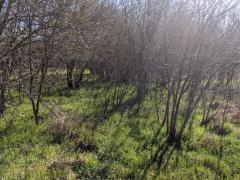 Имоти Варна