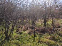 Имоти Варна