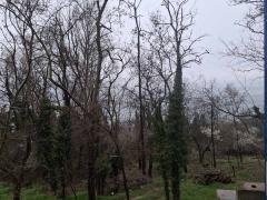 Properties in Bulgaria