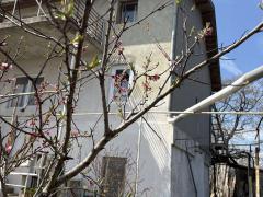 Properties in Bulgaria