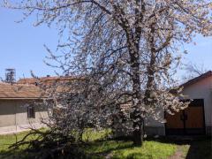 Имоти Варна