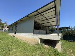 Properties in Bulgaria