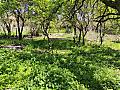 Properties in Bulgaria