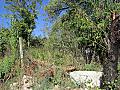 Properties in Bulgaria