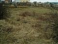 Properties in Bulgaria