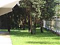 Properties in Bulgaria